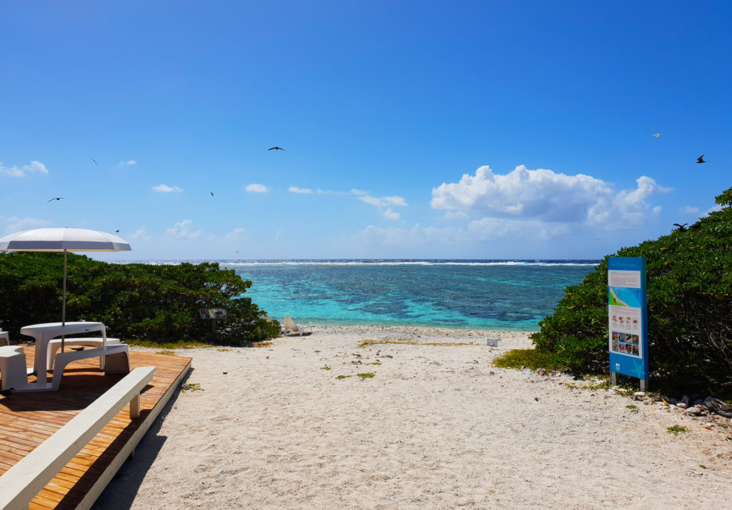 Lady Elliot Island