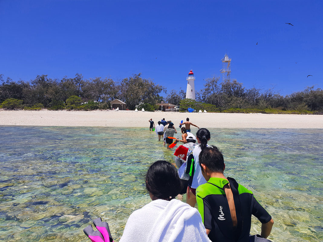 Lady Elliot Island