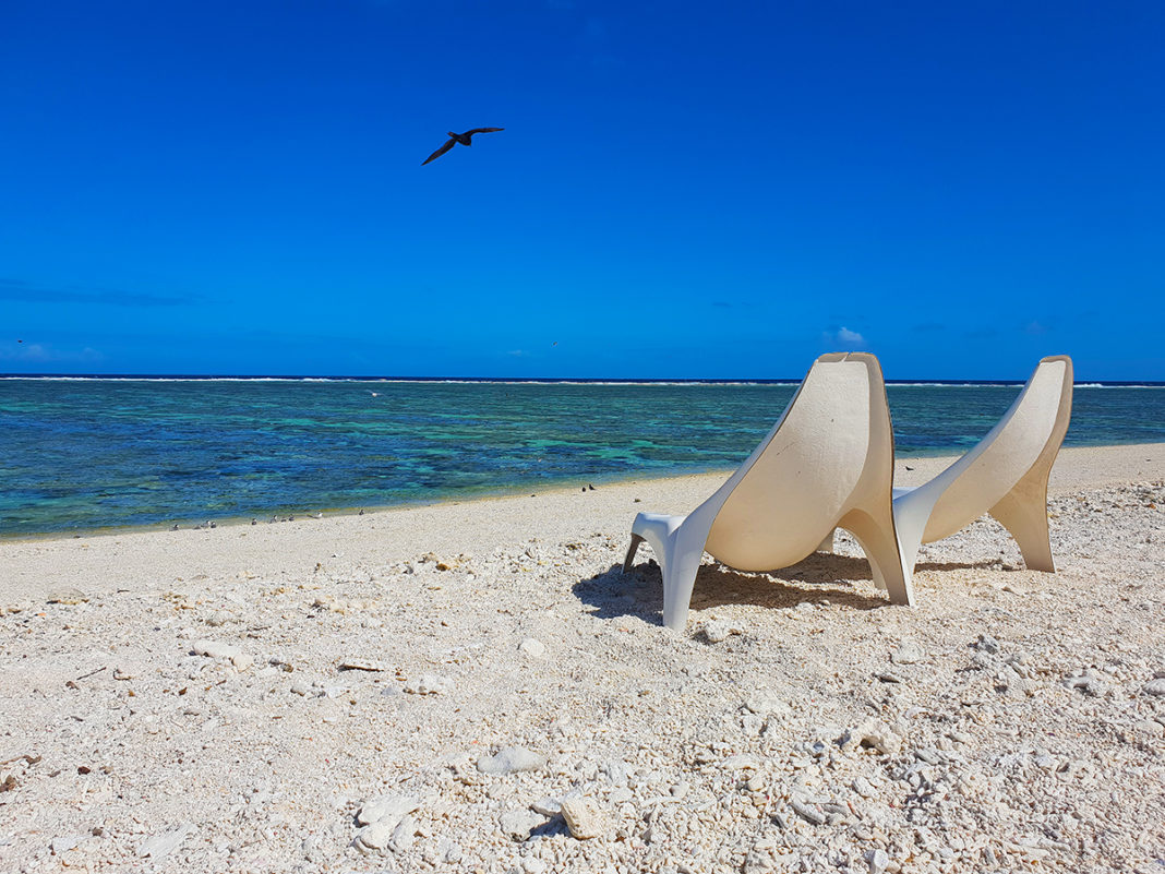 Lady Elliot Island