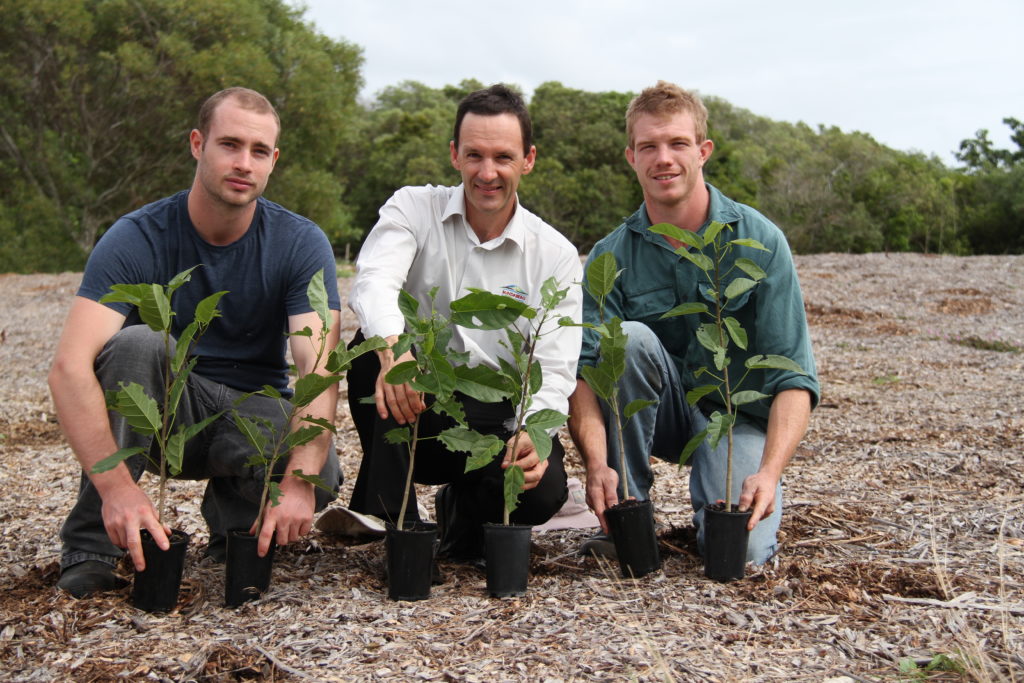 Tree planting in the Bundaberg Region