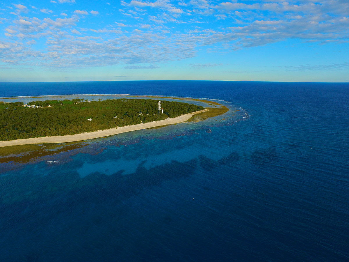 lady elliot island tours from bundaberg