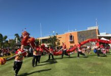 bundaberg dragon dancing