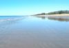 Moore Park Beach