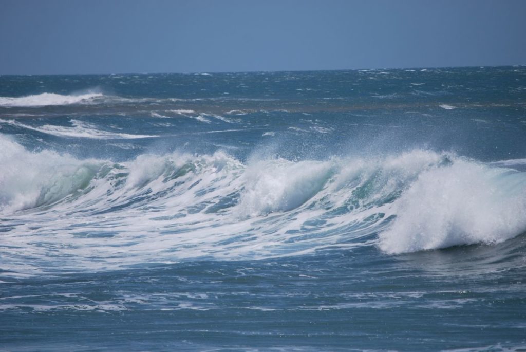 Bargara surf