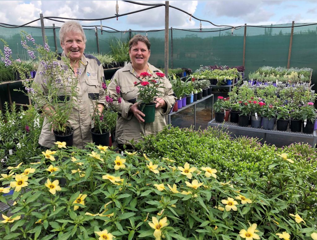 Nardoo Nursery blooms