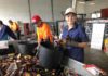 Containers for change