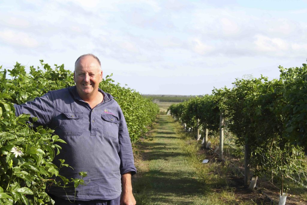 Tinaberries farmer Bruce McPherson with his trellised passionfruit vines.