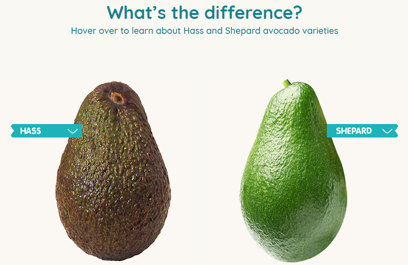 Hass and Shepard avocado varieties