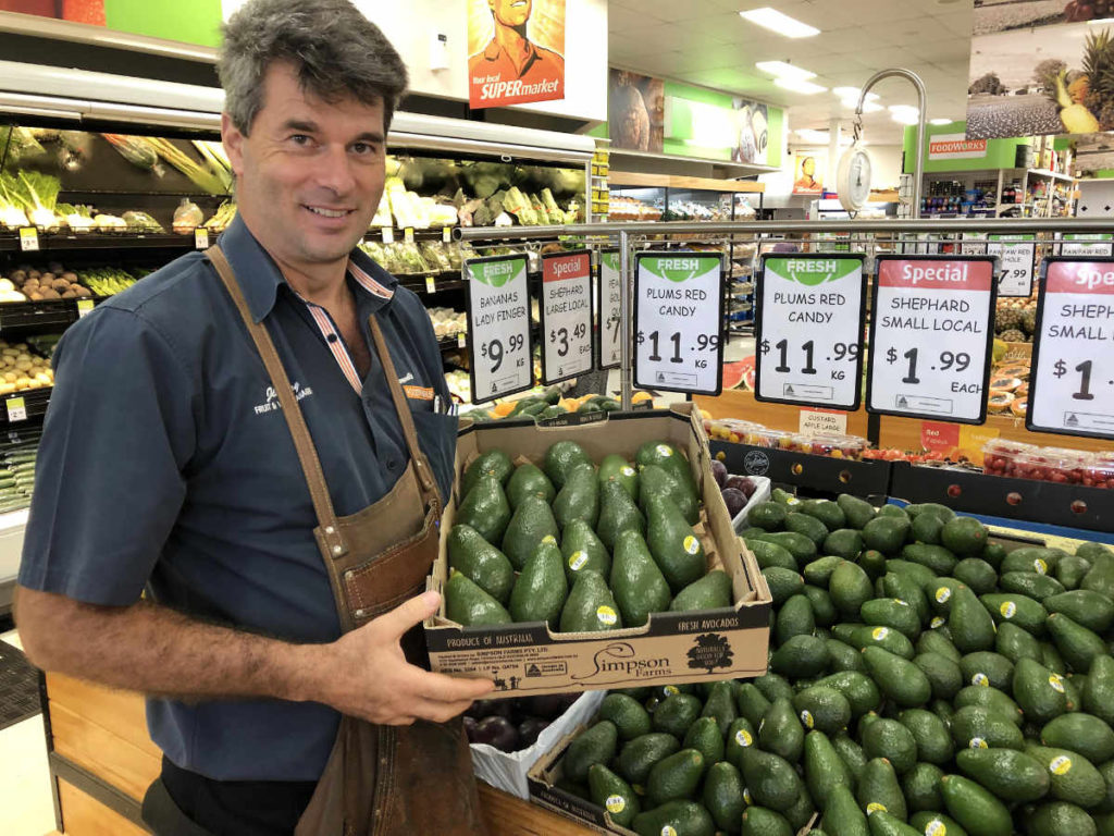 Avocado harvest begins