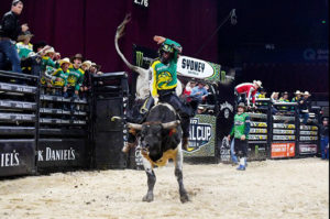 bull riding rodeo