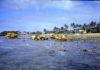 Bulldozers clearing rocks on Neilson Park Beach.