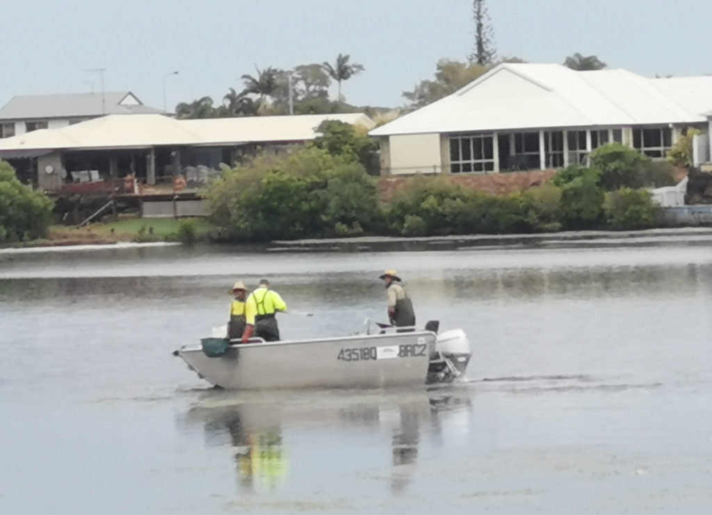 orkers retrieving dead fish from Moneys Creek Lagoon.