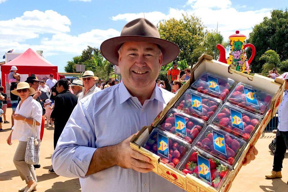 Mayor Jack Dempsey at the 2018 Strawberry Festival.