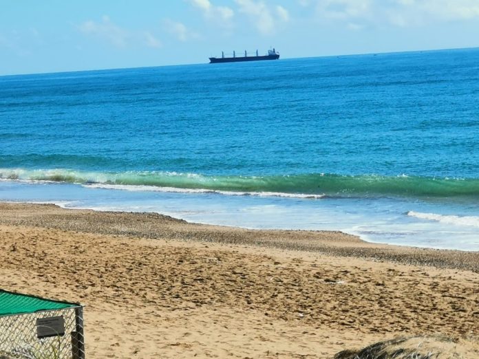 Mon Repos Beach is not just for turtles