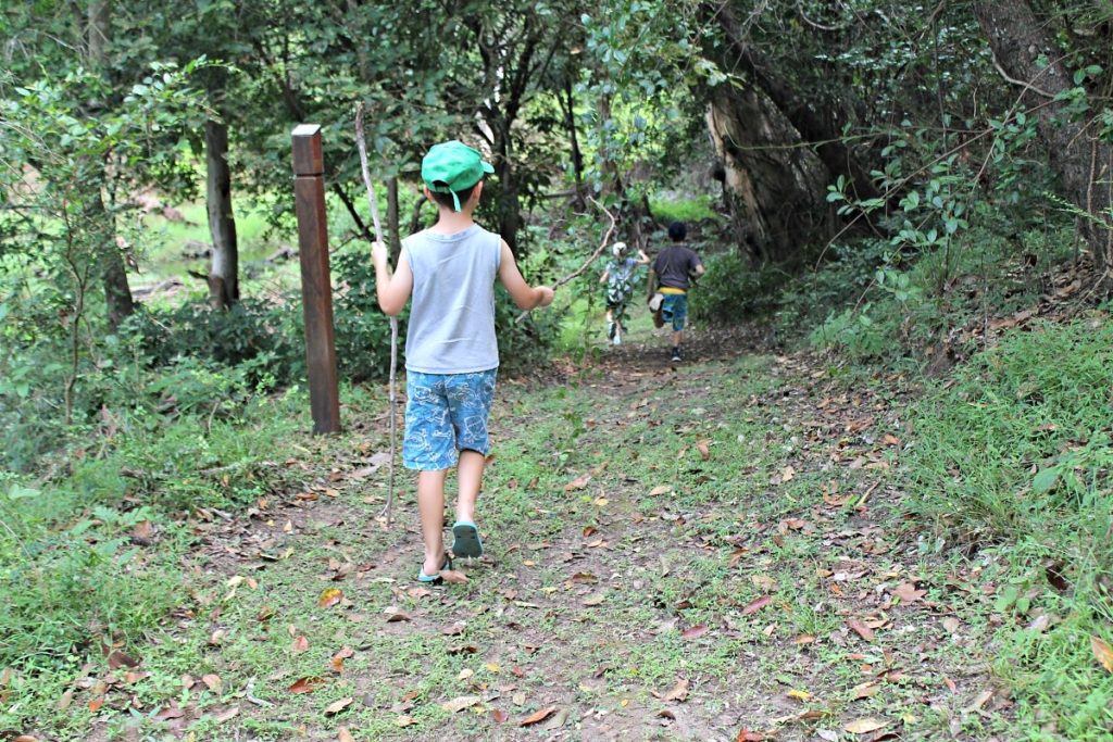 Russo Park nature walk near Childers