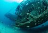 ex-HMAS Tobruk dive