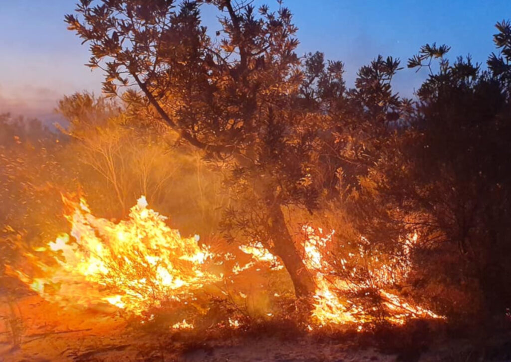 Woodgate bushfire