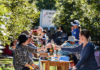 Farm Flavours Picnic offers a unique and relaxed experience on a macadamia farm.