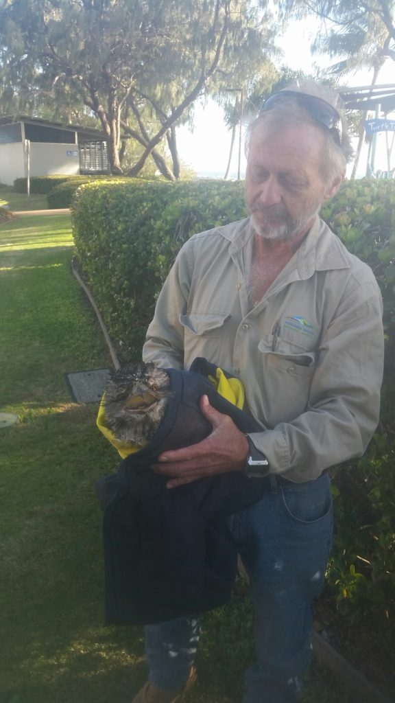 Andrew with the Tawny Frogmouth