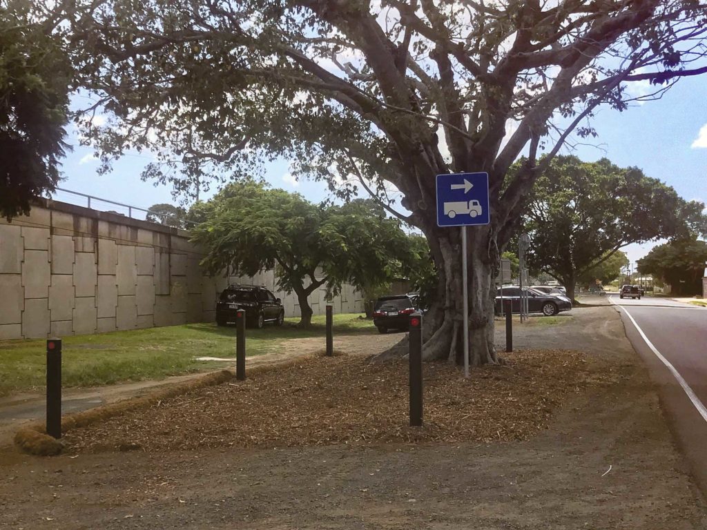 Bollards have been installed around a fig tree near the Tallon Bridge to ensure vehicles are not able to damage its roots.