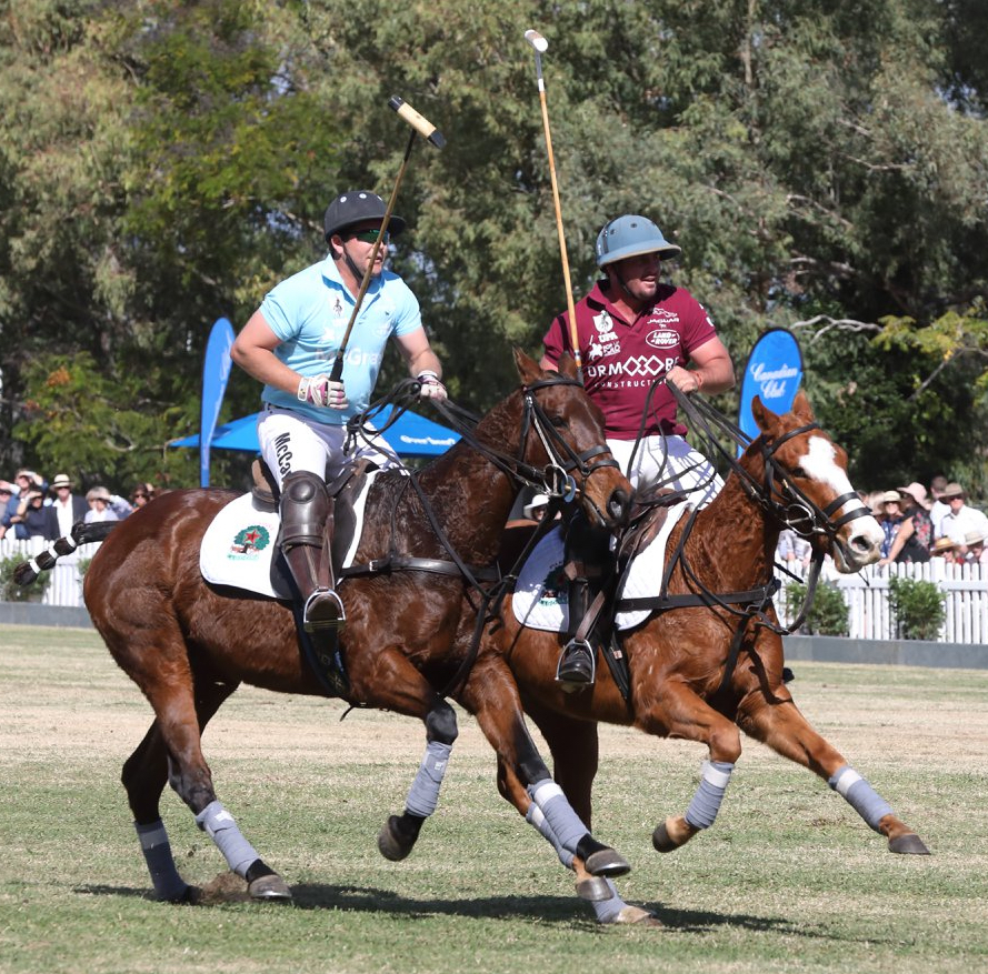 Pop-up polo is coming to Bundaberg