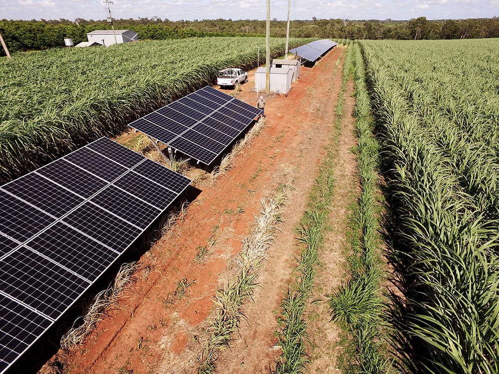 Solar irrigation field trial Bundaberg