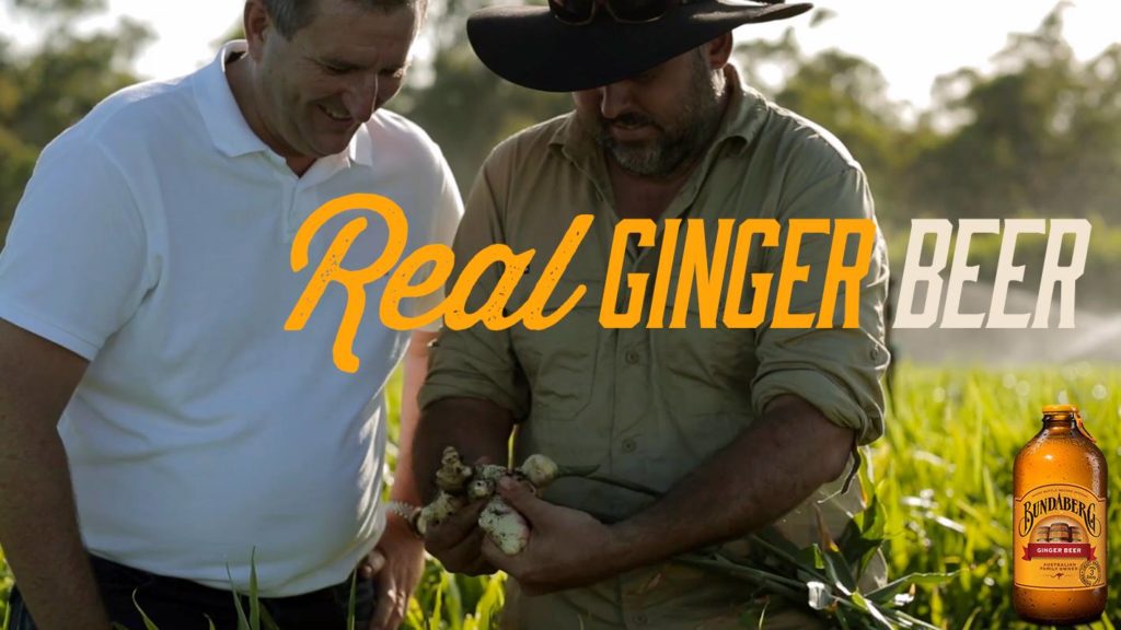 Queensland Gold ginger