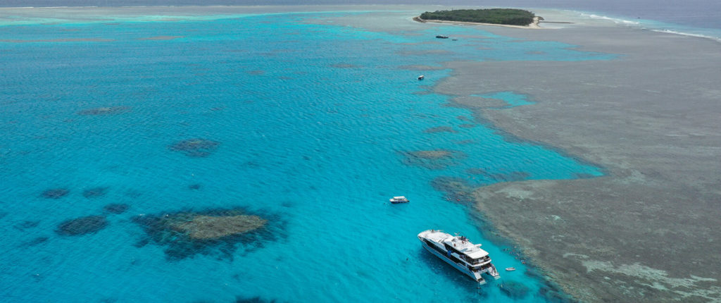 Lady Musgrave Island citizen scientists