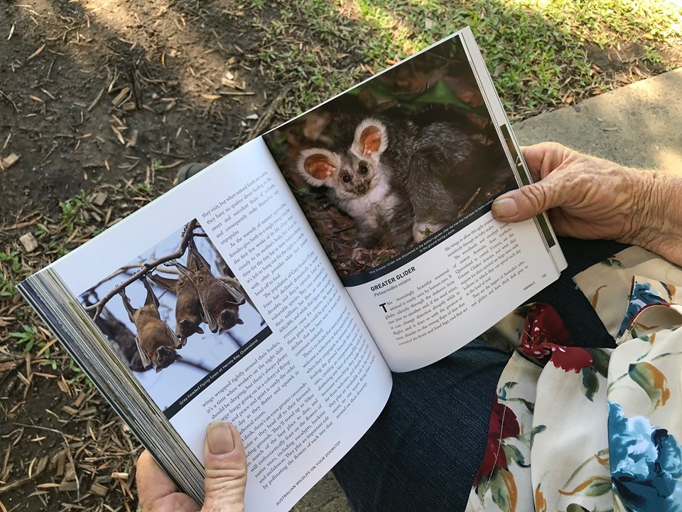 Stephanie Jackson's book about Bundaberg Region wildlife.