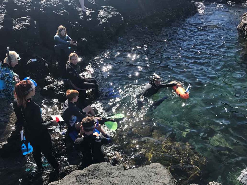 Citizen scientists snorkelling at Barolin Rocks.