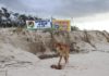 Fraser Island clean-up