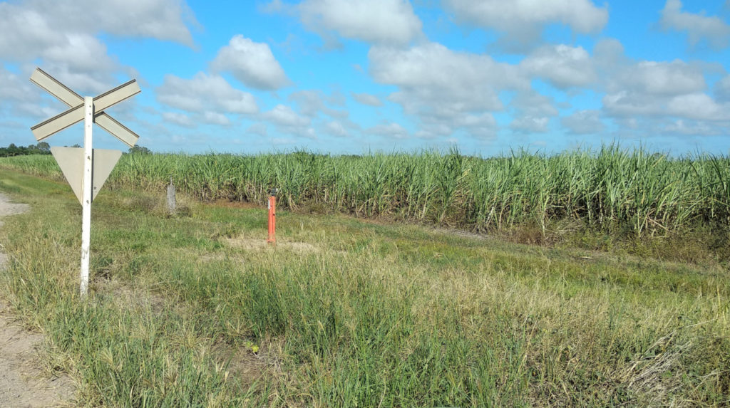 Sugarcane crushing will start in the Bundaberg Region on 1 July 2019.