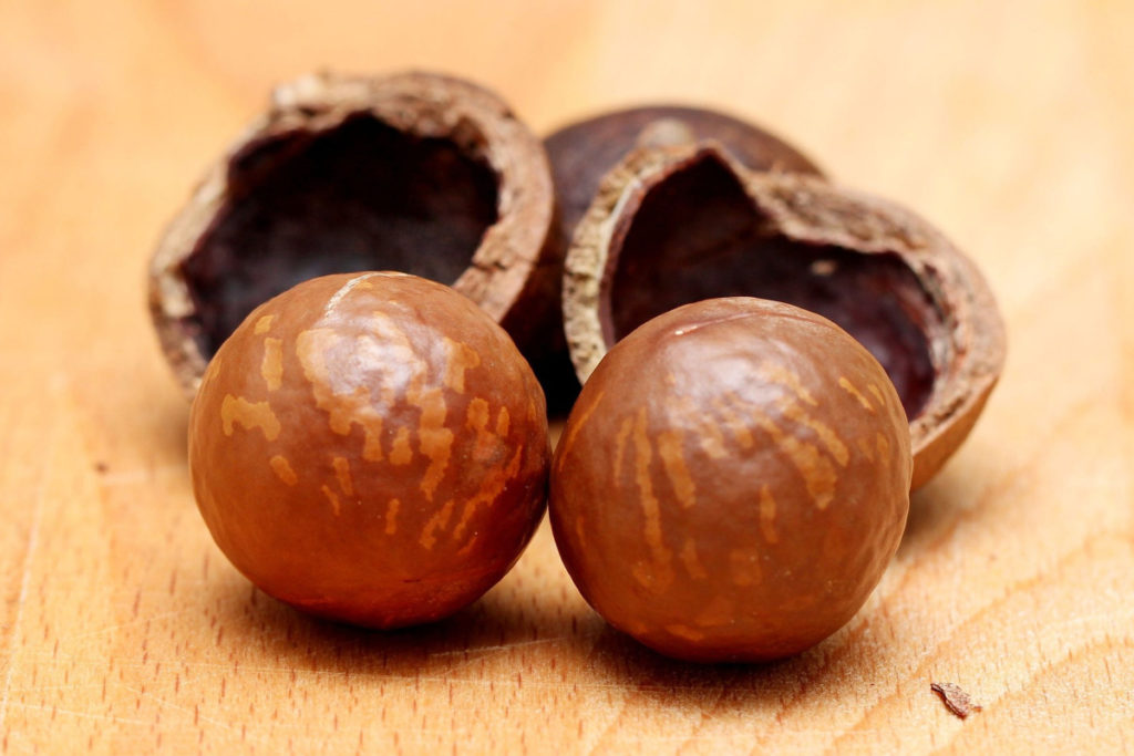 World Macadamia Nut Day