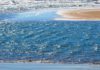 Moore Park Beach