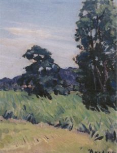Canefields and Clouds by Noel Wood, Bundaberg Regional Galleries collection