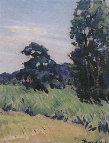 Canefields and Clouds by artist Noel Wood, Bundaberg Regional Galleries collection.