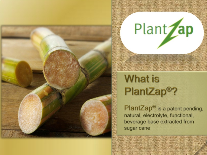 PlantZap is a sugarcane extract with almost no calories