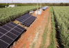 solar irrigation trial field day