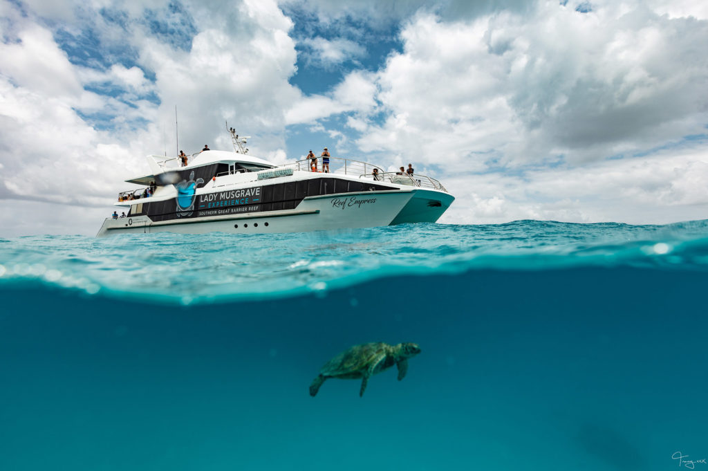 Reef Empress whale watching