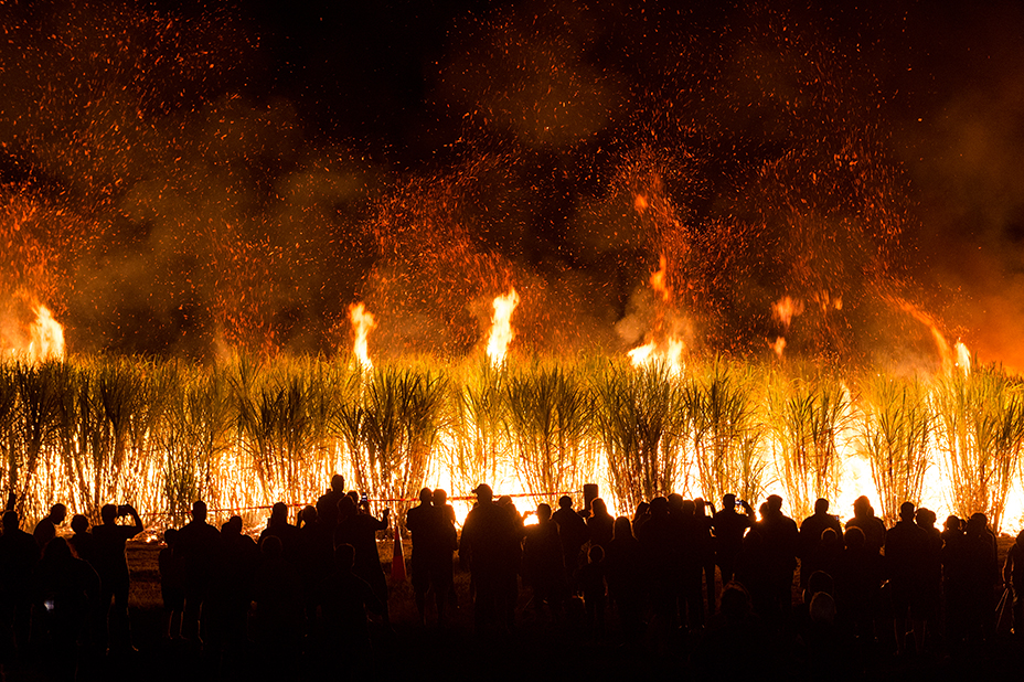 The Isis Central Sugar Mill tour lets you witness the magic of a cane fire. 