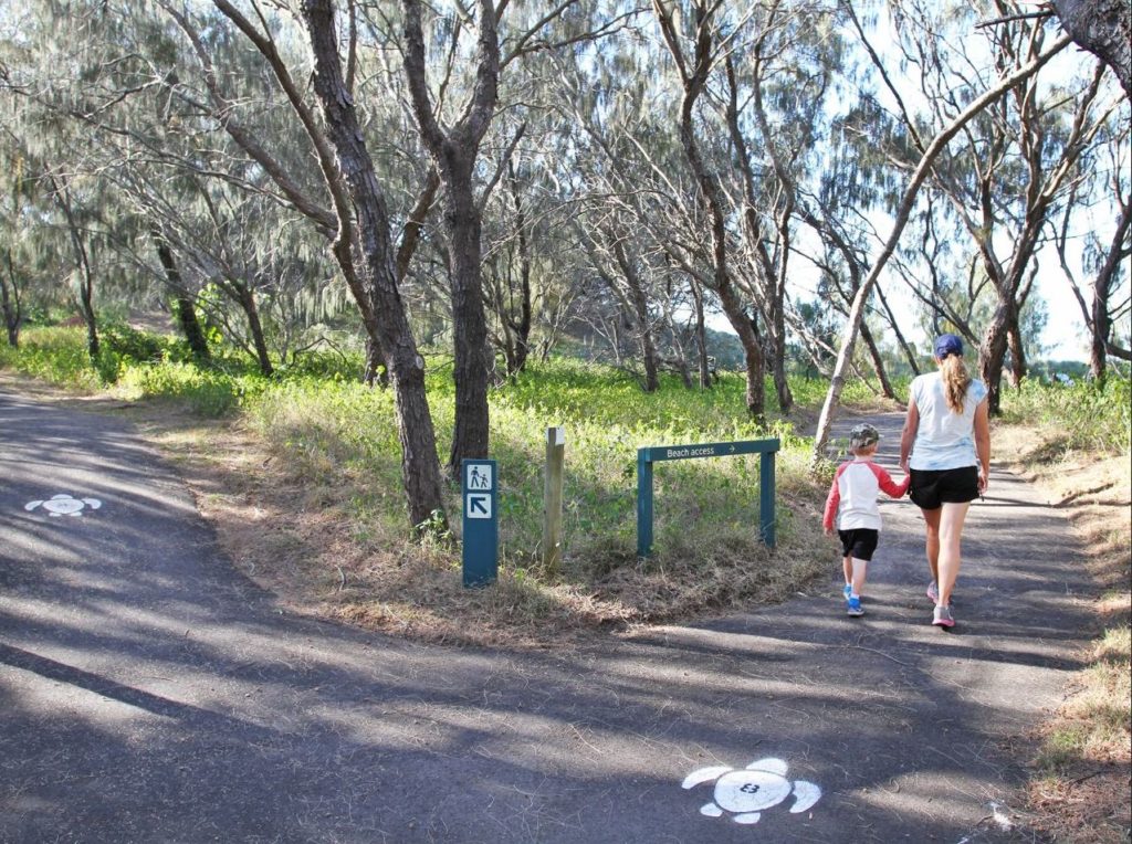 Sections of Mon Repos Conservation Park are closed for tree removal works. Source: Queensland Government