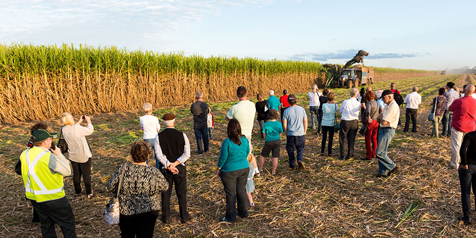 The Isis Central Sugar Mill tour has been a popular event over the years. 