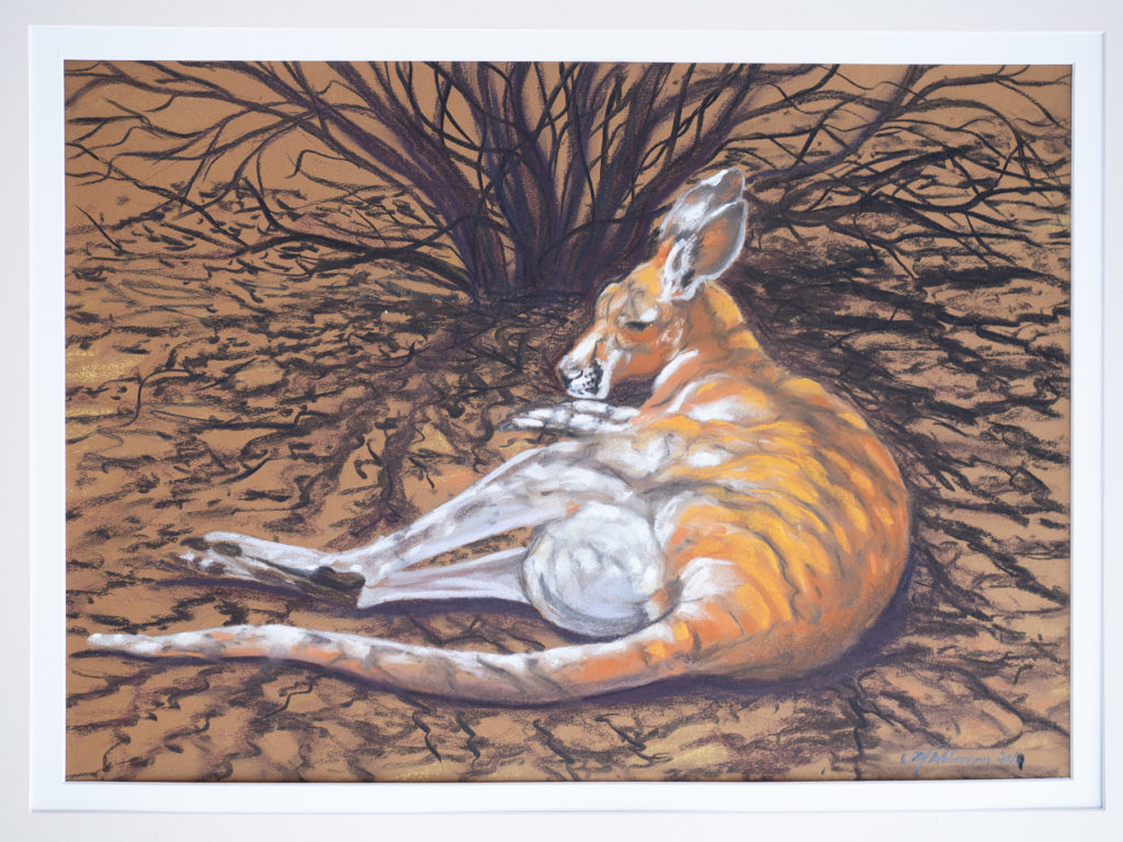 Suzanne Robinson’s bush pastels artwork of a doe kangaroo.