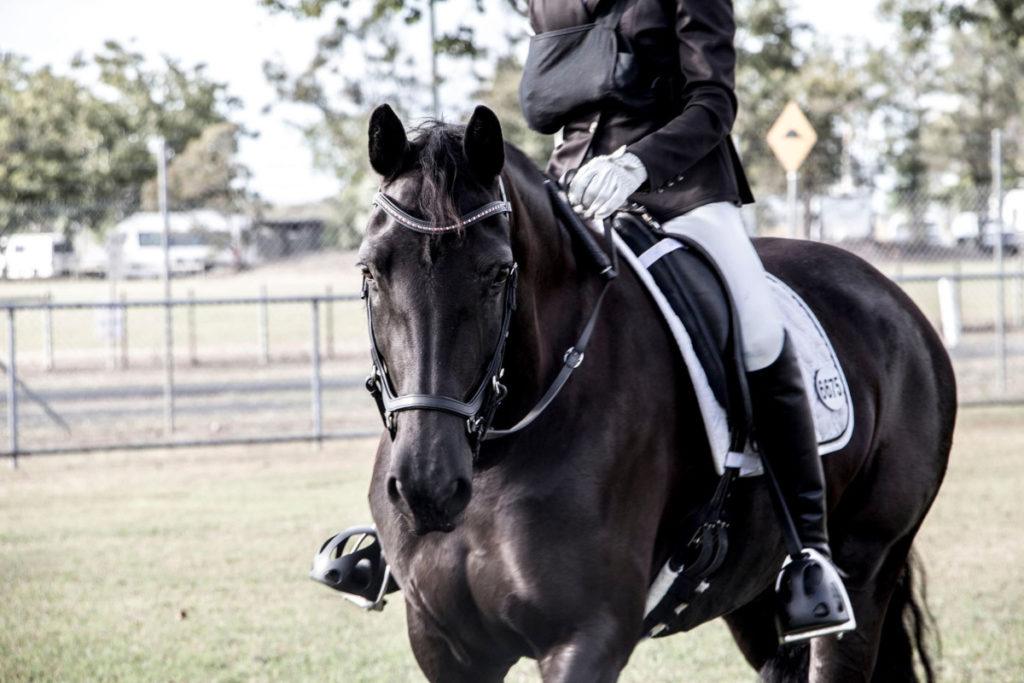 Bundaberg Winter Dressage Championships