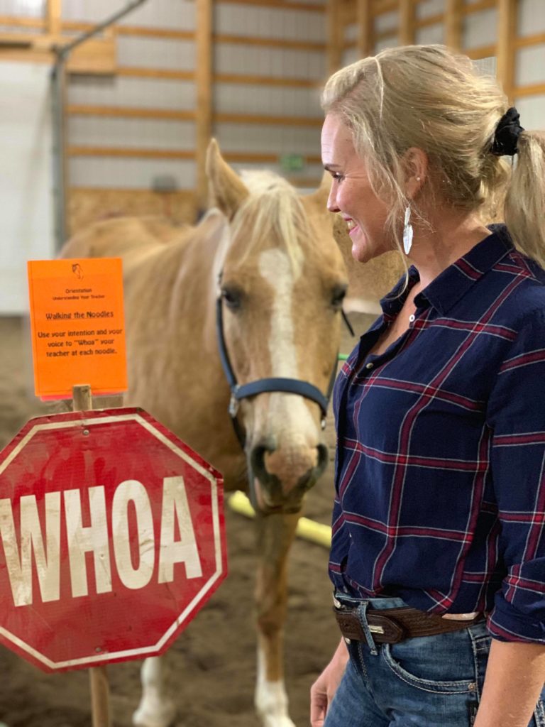 Sigrid Peters from Horse and Habit Change is offering Equine Assisted Learning.