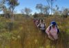 Bundaberg Bushwalking Club