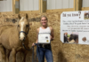 Sigrid Peters from Horse and Habit Change is offering Equine Assisted Learning.