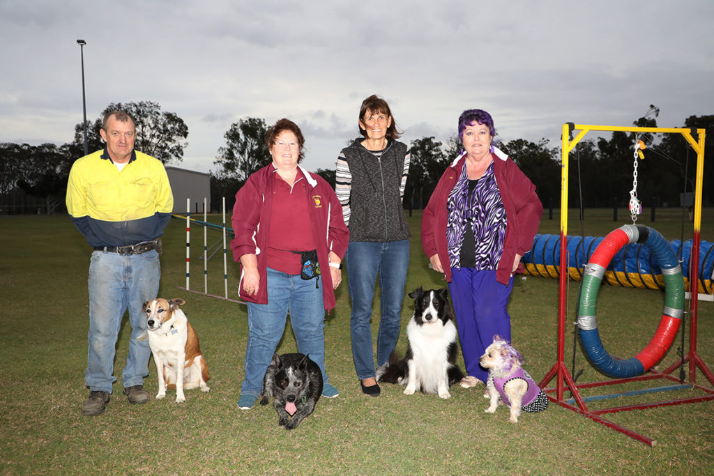 Dog agility areas