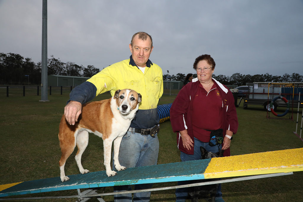 Dog agility areas