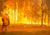 Deepwater fire in November 2018